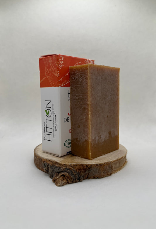 SAVON AU LAIT DE CHÈVRE BIO – BONNE MINE