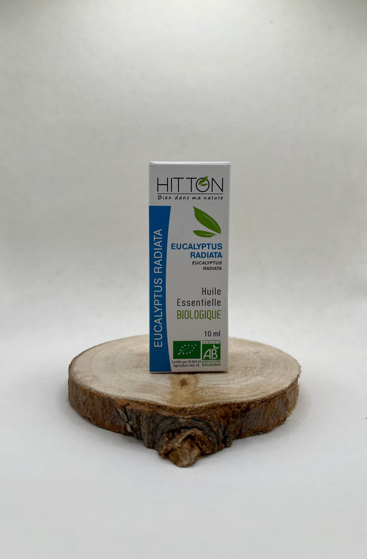 HUILE ESSENTIELLE D’EUCALYPTUS RADIATA BIO 10 ML