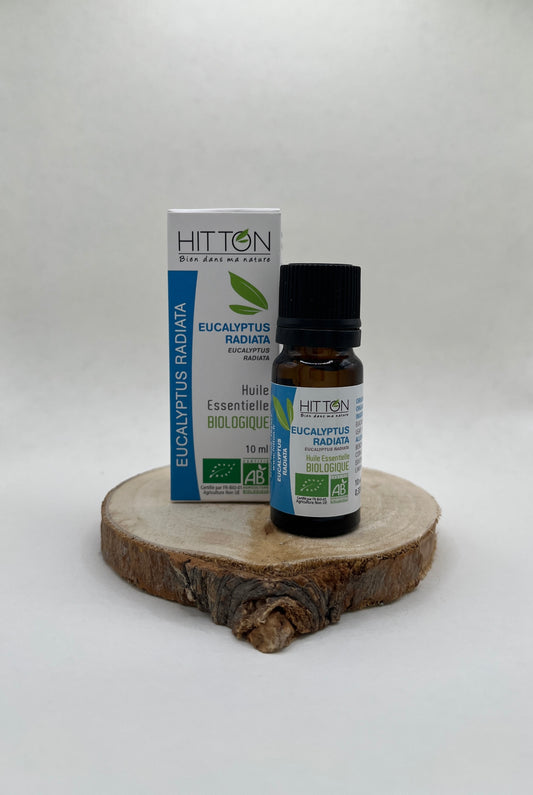 HUILE ESSENTIELLE D’EUCALYPTUS RADIATA BIO 10 ML