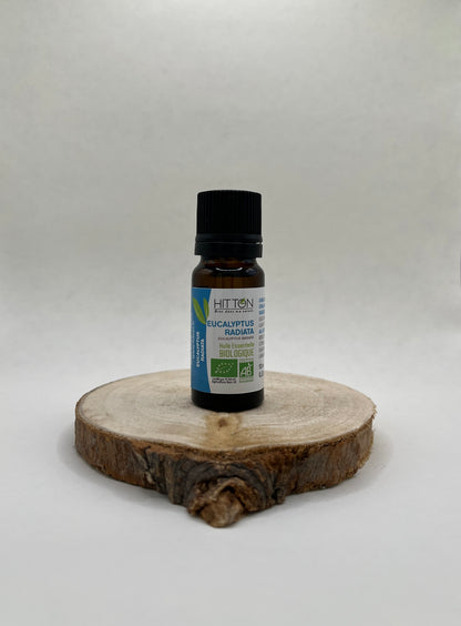 HUILE ESSENTIELLE D’EUCALYPTUS RADIATA BIO 10 ML